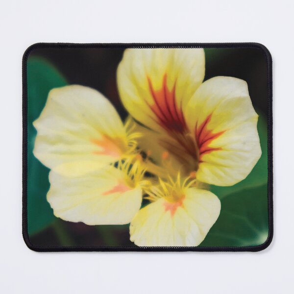 Item preview, Pale Yellow Nasturtium designed and sold by Maddy the Maker.