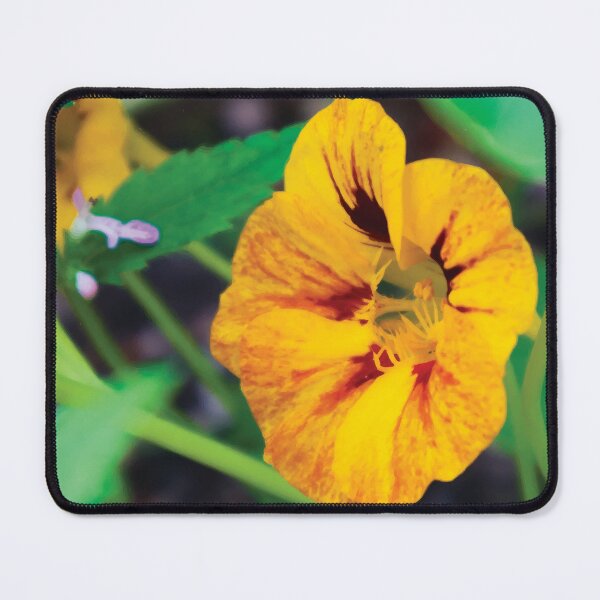 Item preview, Yellow and Red Nasturtiums with Crosnes designed and sold by Maddy the Maker.