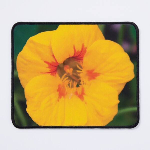 Item preview, Bright Yellow Nasturtium Flowers designed and sold by Maddy the Maker.