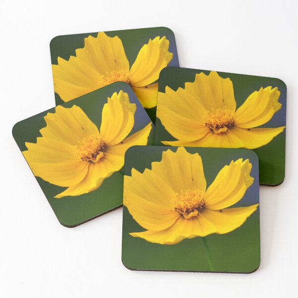 Item preview, Yellow Cosmo designed and sold by Kerri Ann McClellan.