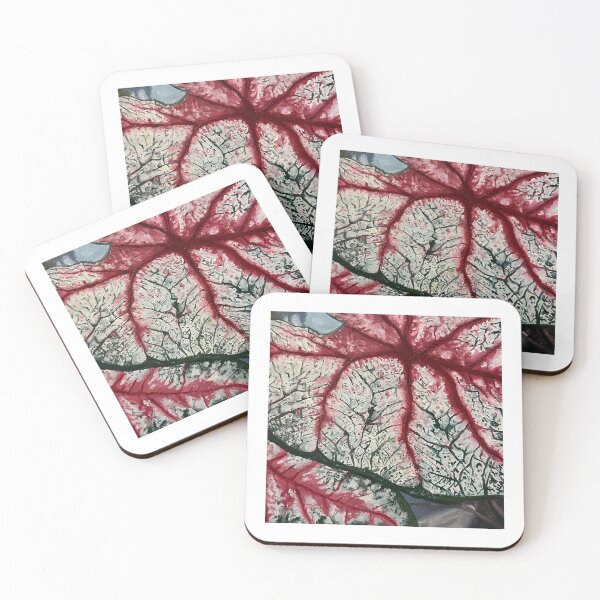Item preview, Caladium veins (2023) designed and sold by Gothicbug1031.