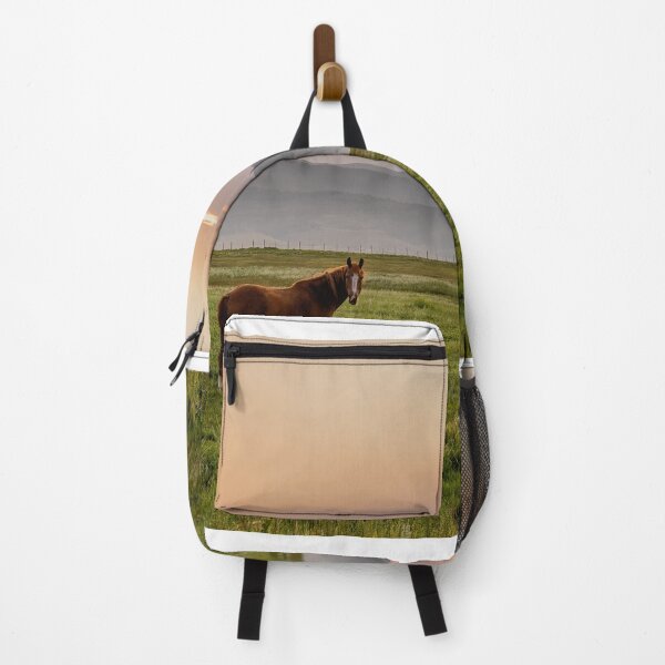 Item preview, Horse at First Light designed and sold by Brian Kerls Photography.