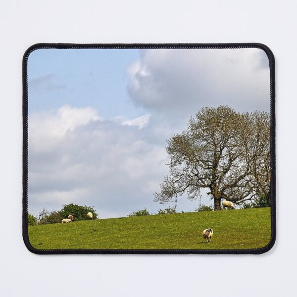 Item preview, Sheep grazing. designed and sold by Ian Ramsay.