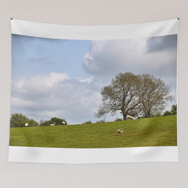 Item preview, Sheep grazing. designed and sold by Ian Ramsay.