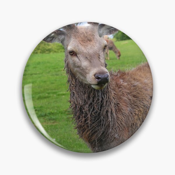 Item preview, Young Deer in Green Meadow. designed and sold by Ian Ramsay.