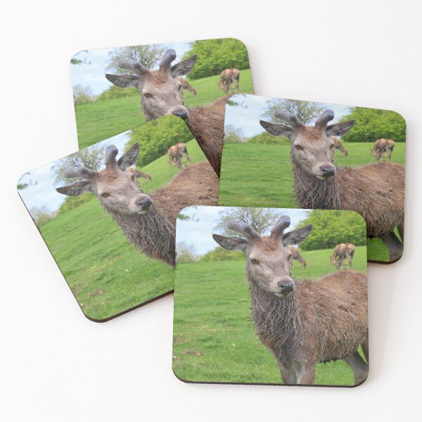 Item preview, Young Deer in Green Meadow. designed and sold by Ian Ramsay.