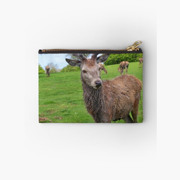 Item preview, Young Deer in Green Meadow. designed and sold by Ian Ramsay.