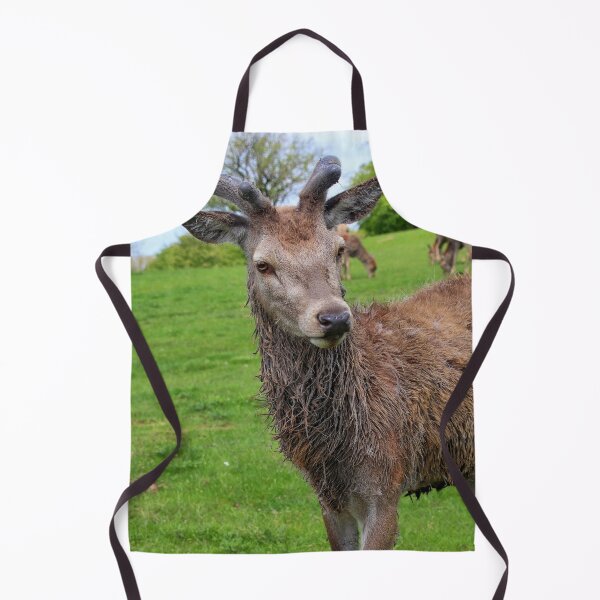 Item preview, Young Deer in Green Meadow. designed and sold by Ian Ramsay.