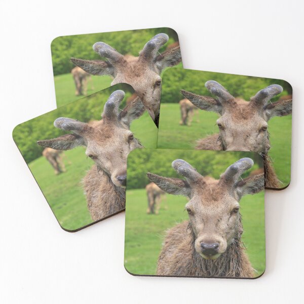 Item preview, Young deer. designed and sold by Ian Ramsay.