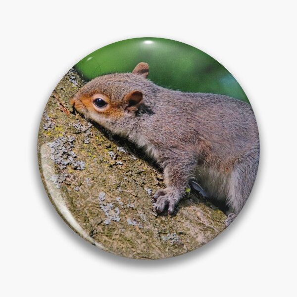 Item preview, Squirrel. designed and sold by Ian Ramsay.