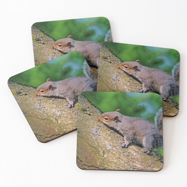 Item preview, Squirrel. designed and sold by Ian Ramsay.