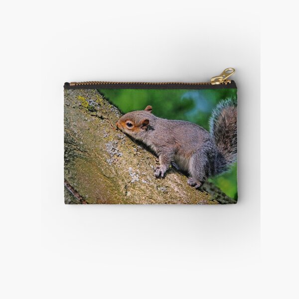 Item preview, Squirrel. designed and sold by Ian Ramsay.