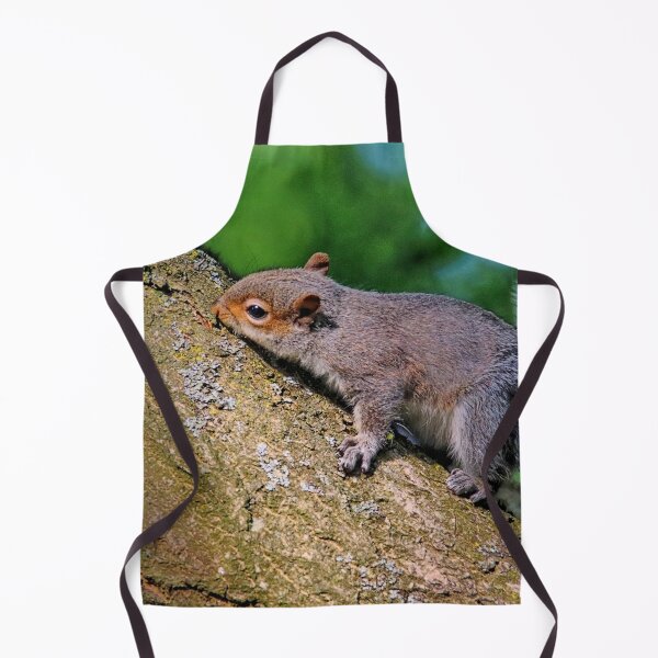 Item preview, Squirrel. designed and sold by Ian Ramsay.