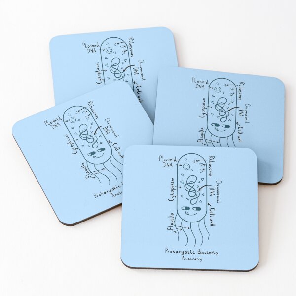 Item preview, Prokaryotic Bacteria Diagram designed and sold by chowlet.