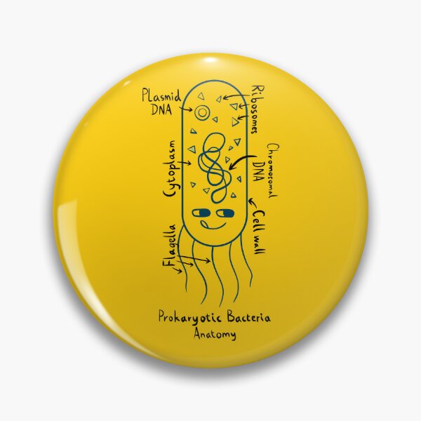 Item preview, Prokaryotic Bacteria Diagram designed and sold by chowlet.