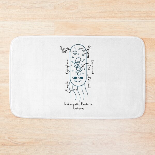 Item preview, Prokaryotic Bacteria Diagram designed and sold by chowlet.