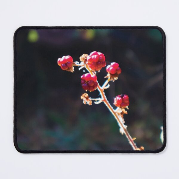 Item preview, Unripe Blackberry Stem at Golden Hour designed and sold by Maddy the Maker.