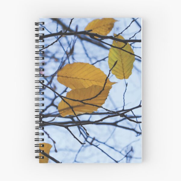 Item preview, Golden Wych Elm Leaves during Autumn designed and sold by Maddy the Maker.
