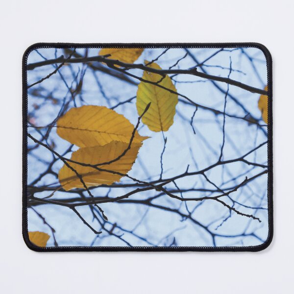 Item preview, Golden Wych Elm Leaves during Autumn designed and sold by Maddy the Maker.