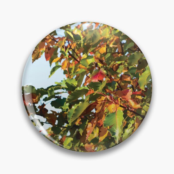 Item preview, Ornamental Pear Leaves at golden hour during Autumn designed and sold by Maddy the Maker.