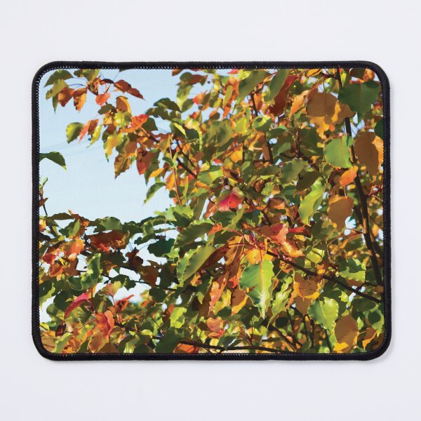 Item preview, Ornamental Pear Leaves at golden hour during Autumn designed and sold by Maddy the Maker.