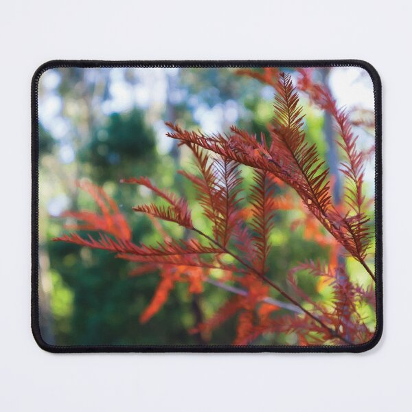 Item preview, Bald Cypress Leaves during Autumn designed and sold by Maddy the Maker.