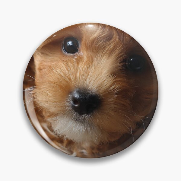 Item preview, Sweet Mini Doodle Puppy designed and sold by VRD Arena.