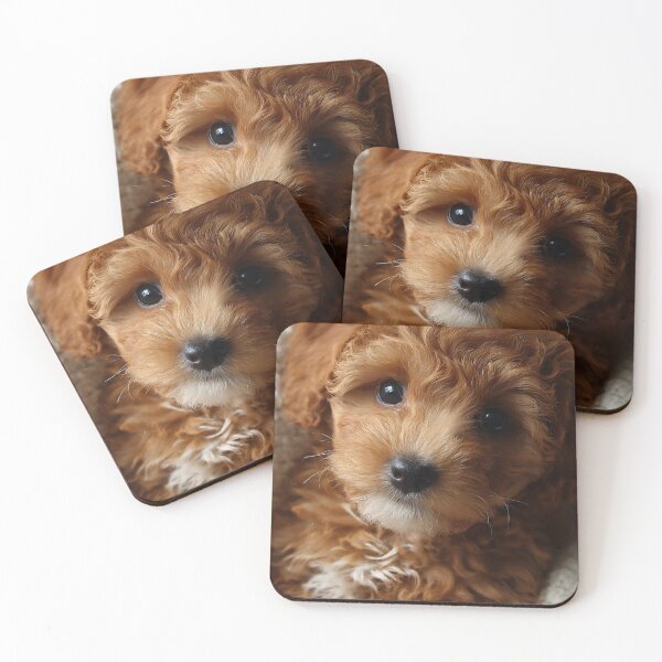 Item preview, Sweet Mini Doodle Puppy designed and sold by VRD Arena.