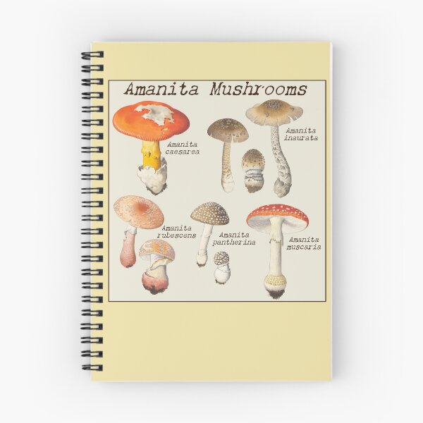 Item preview, Botanical Watercolors of Amanita Mushrooms: Hans Walty designed and sold by Tridentulus.