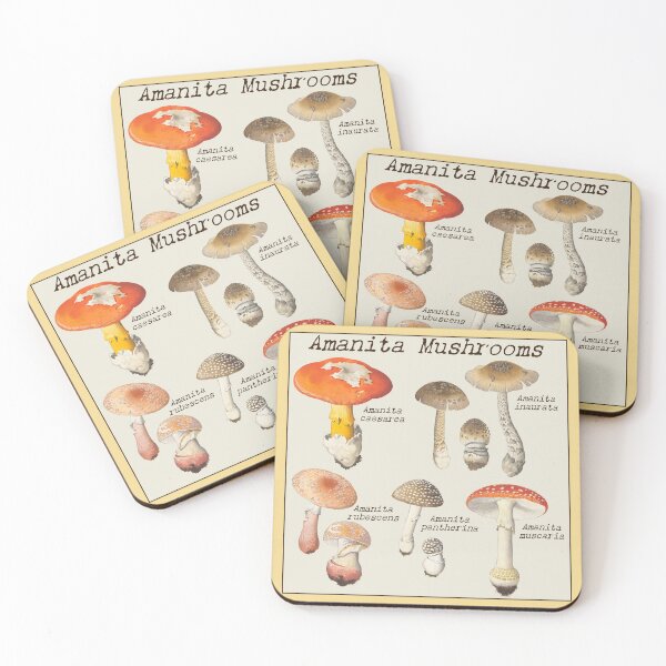 Item preview, Botanical Watercolors of Amanita Mushrooms: Hans Walty designed and sold by Tridentulus.