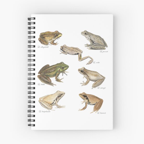 Item preview, The Art of Tree Frogs [Australasian treefrog illustrations] designed and sold by Hannah Mathews.