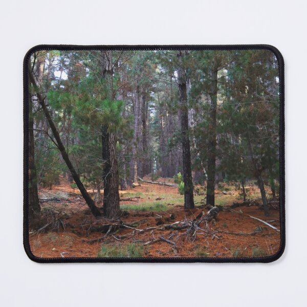 Item preview, Pine Forest designed and sold by Maddy the Maker.