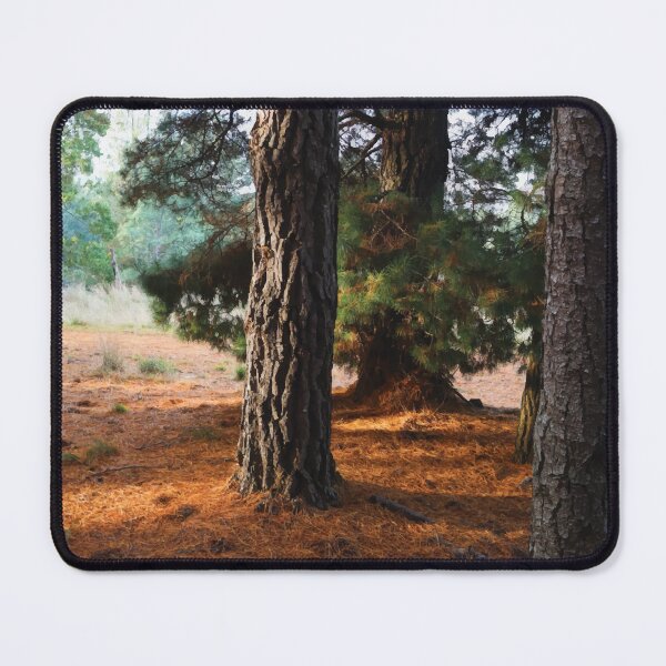 Item preview, Pine Trees at Golden Hour designed and sold by Maddy the Maker.