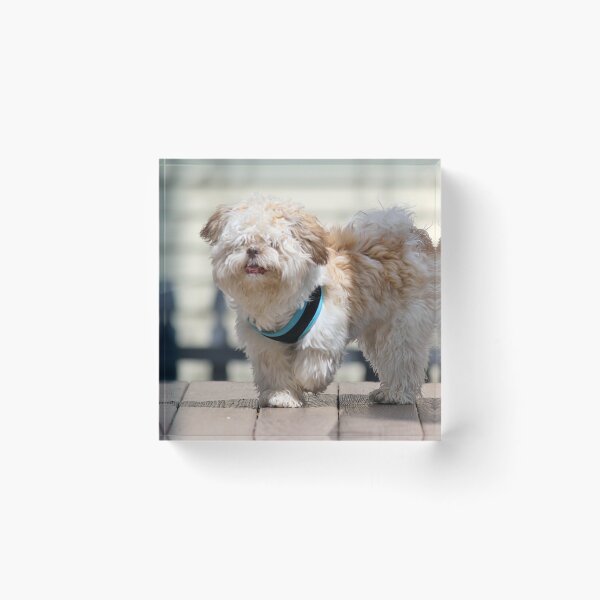 Item preview, Teddy Dog designed and sold by Linda Crockett.