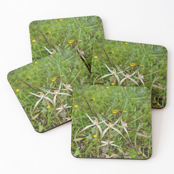 Item preview, Spider Orchids designed and sold by AJ's Arty Place.