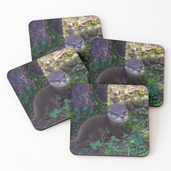 Item preview, Otter Beginnings – First Adventure designed and sold by rawshutterbug.