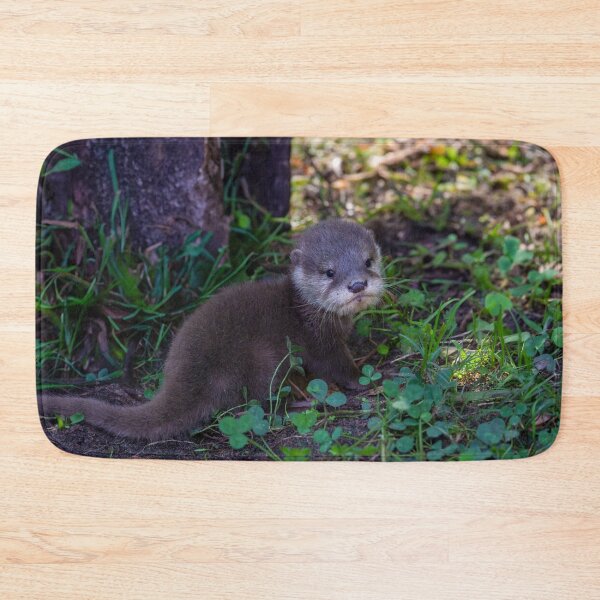 Item preview, Otter Beginnings – First Adventure designed and sold by rawshutterbug.