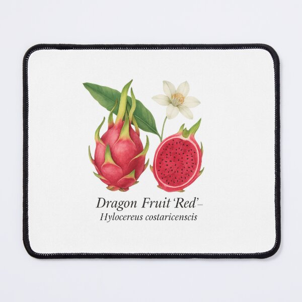 Item preview, Dragon Fruit ‘Red’ – Exotic Tropical Botanical Illustration designed and sold by BloomKind.