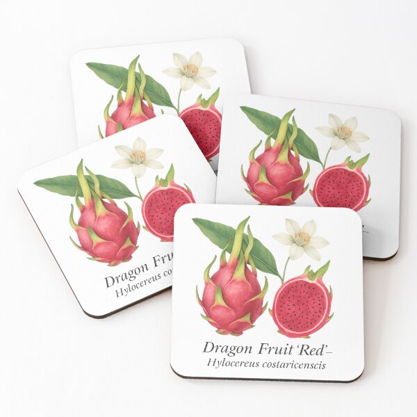 Item preview, Dragon Fruit ‘Red’ – Exotic Tropical Botanical Illustration designed and sold by BloomKind.