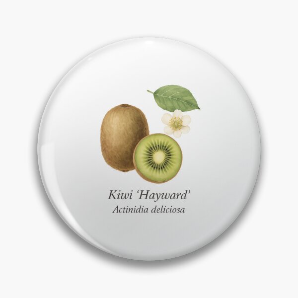 Item preview, Kiwi ‘Hayward’ – Fresh Green Botanical Illustration designed and sold by BloomKind.