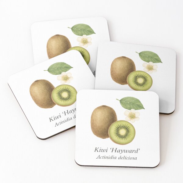 Item preview, Kiwi ‘Hayward’ – Fresh Green Botanical Illustration designed and sold by BloomKind.