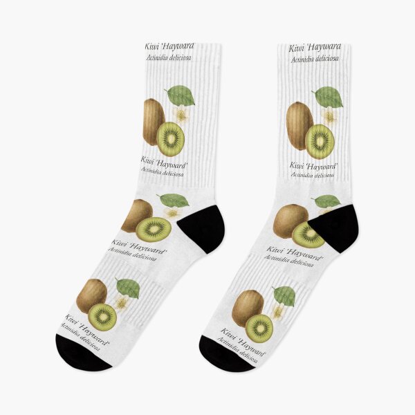 Item preview, Kiwi ‘Hayward’ – Fresh Green Botanical Illustration designed and sold by BloomKind.