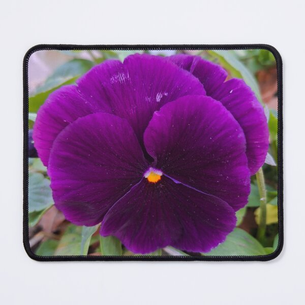 Item preview, Purple pansy flower with background designed and sold by KrencyArt.