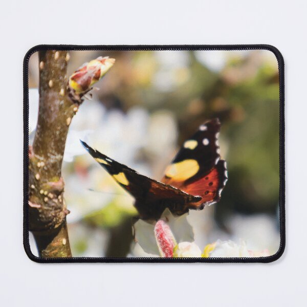 Item preview, Yellow Admiral Butterfly on Nashi Pear Blossoms designed and sold by Maddy the Maker.