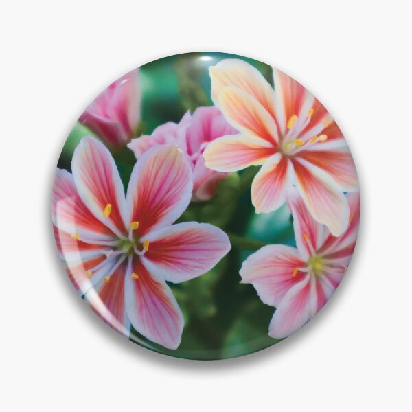Item preview, Lewisia Cotyledon Flowers designed and sold by Maddy the Maker.