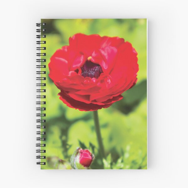 Item preview, Bright Red Ranunculus Flower designed and sold by Maddy the Maker.