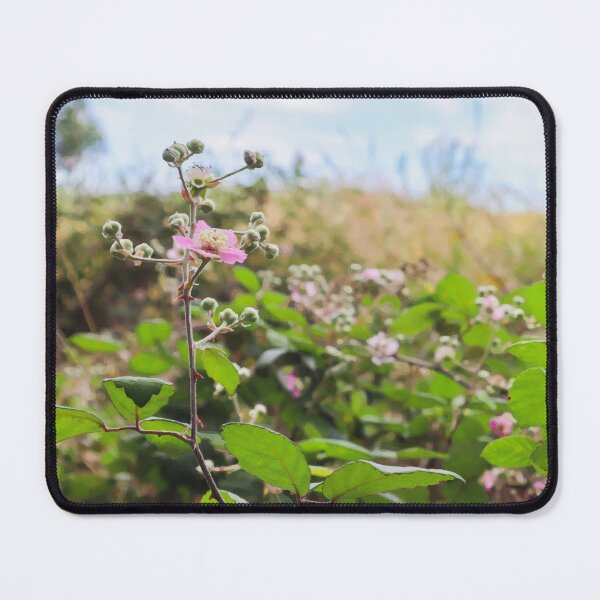Item preview, Pink-flowered Blackberry on Grassy Hillside designed and sold by Maddy the Maker.
