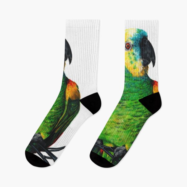 Item preview, Blue-fronted parrot drawing designed and sold by Adam Wróbel.