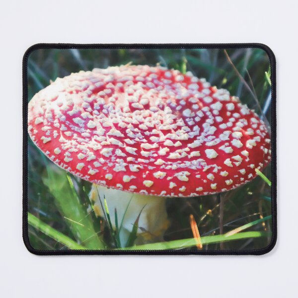 Item preview, Amanita Muscaria Mushroom in Grassy Meadow at Golden Hour designed and sold by Maddy the Maker.