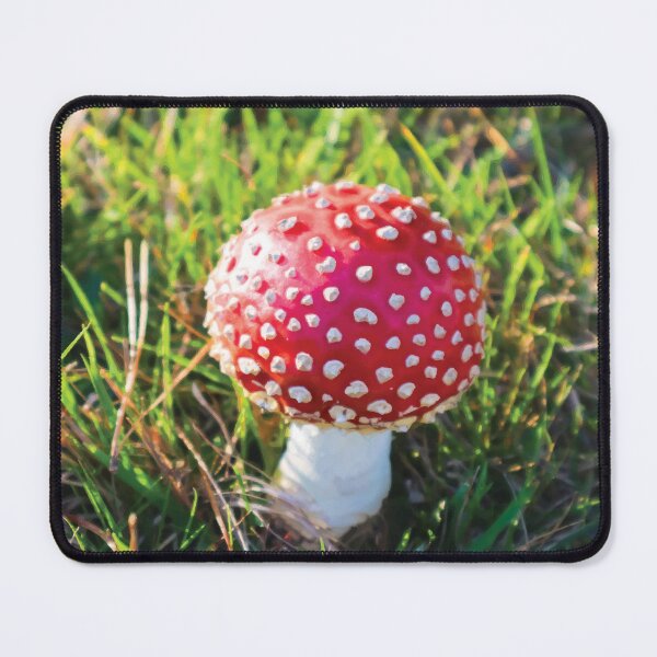 Item preview, Baby Amanita Muscaria Mushroom in Grassy Meadow at Golden Hour designed and sold by Maddy the Maker.
